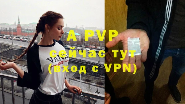 молекула духа Волоколамск