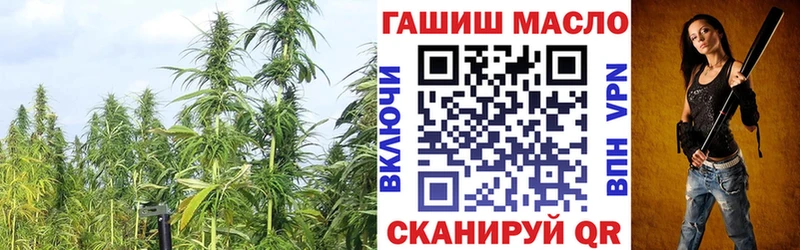 блэк спрут рабочий сайт закладки Южа Дистиллят ТГК вейп