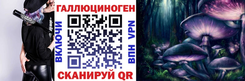 Псилоцибиновые грибы Cubensis  Южа 